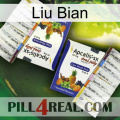 Liu Bian 12